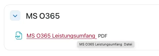 GDS Barrierefreiheit