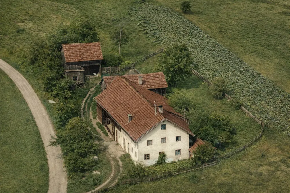 Neu